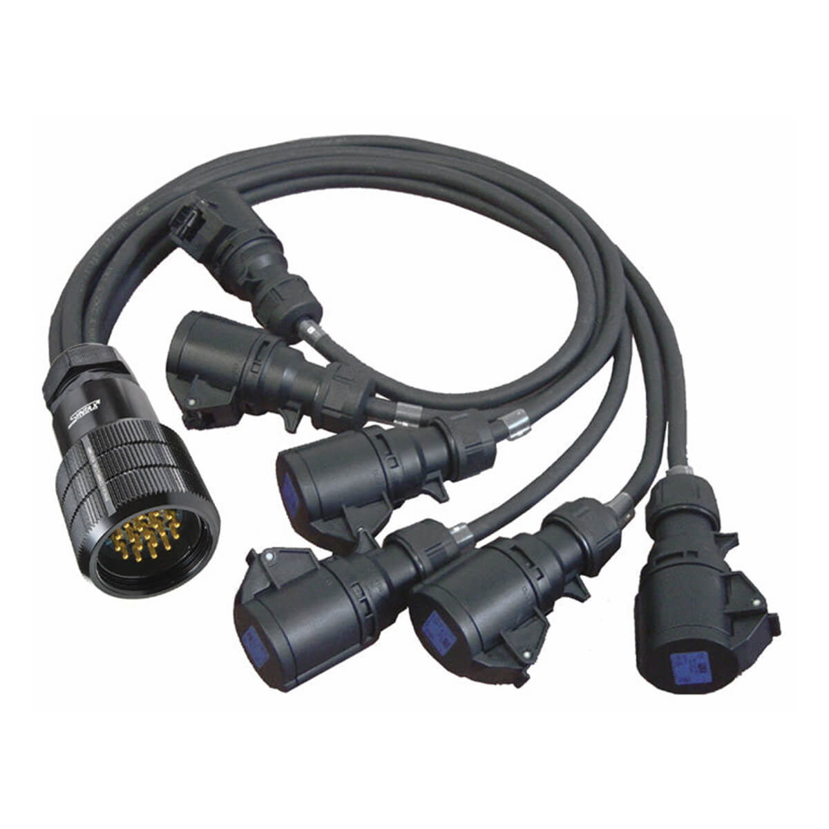 Socapex 6 x 16A Staggered cable with six power connectors.